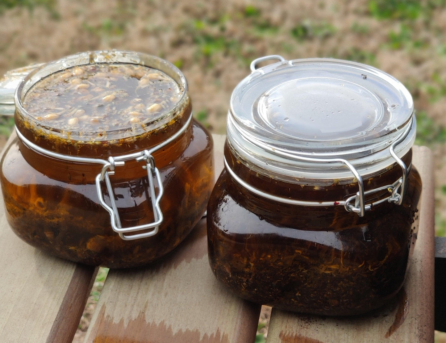 Seamoss growth oil