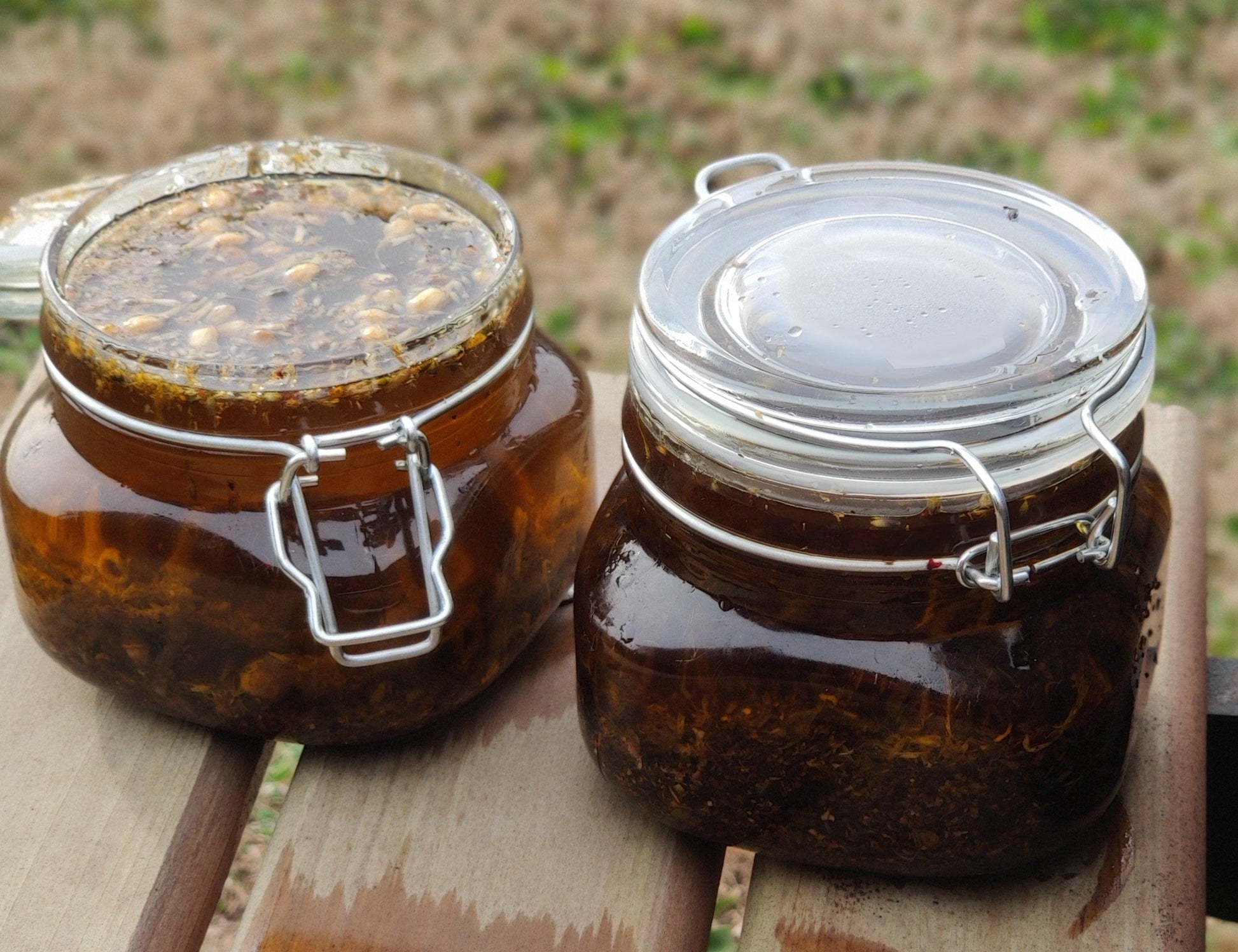 Seamoss growth oil