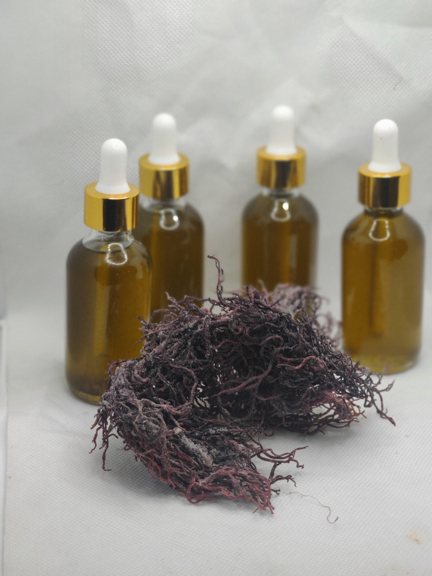 Poseidon Oil (Irish Sea Moss w/ Haitian Black Castor Oil) "Leonidiz Edition" *2oz*